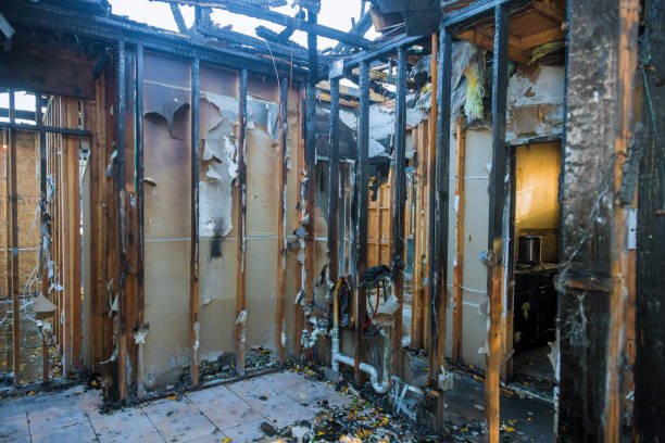 Professional Fire Damage Assessment technician working in Guthrie Center, IA